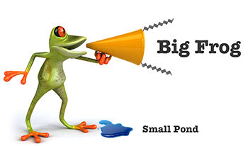 Business Copywriting Services by The Big Frog